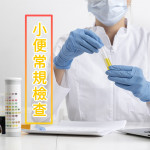 小便常規 小便常規